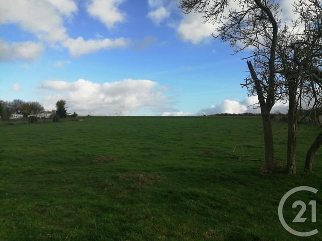 Afficher la photo en grand terrain à vendre - 5400.0 m2 - AUTHUILLE - 80 - PICARDIE - Century 21 Agence Albert