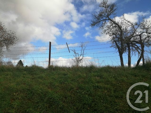 Afficher la photo en grand terrain à vendre - 5400.0 m2 - AUTHUILLE - 80 - PICARDIE - Century 21 Agence Albert