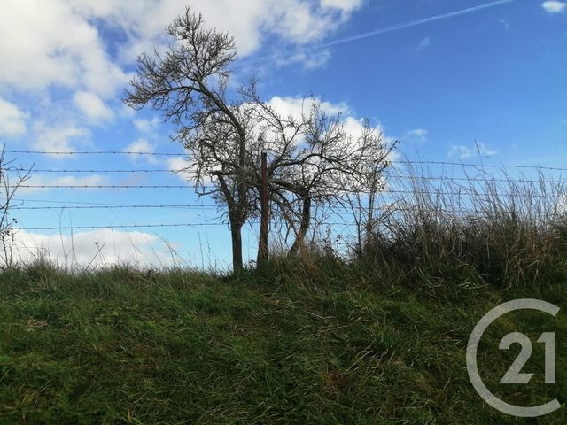Afficher la photo en grand terrain à vendre - 5400.0 m2 - AUTHUILLE - 80 - PICARDIE - Century 21 Agence Albert