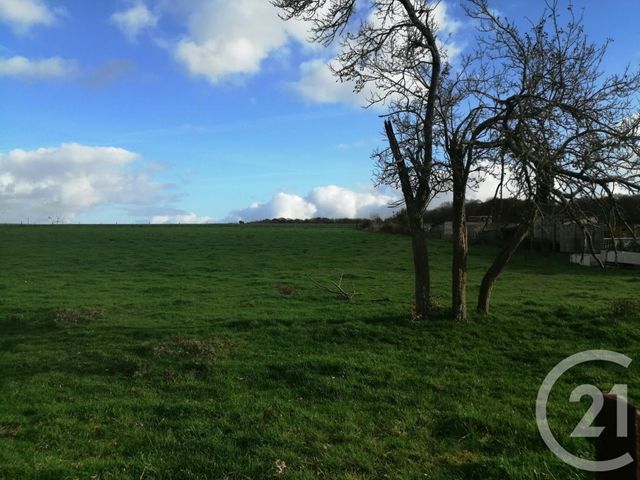 Afficher la photo en grand terrain à vendre - 5400.0 m2 - AUTHUILLE - 80 - PICARDIE - Century 21 Agence Albert