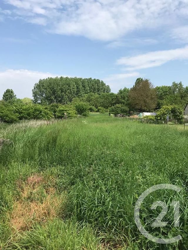 Afficher la photo en grand terrain à vendre - 1021.0 m2 - ALBERT - 80 - PICARDIE - Century 21 Agence Albert