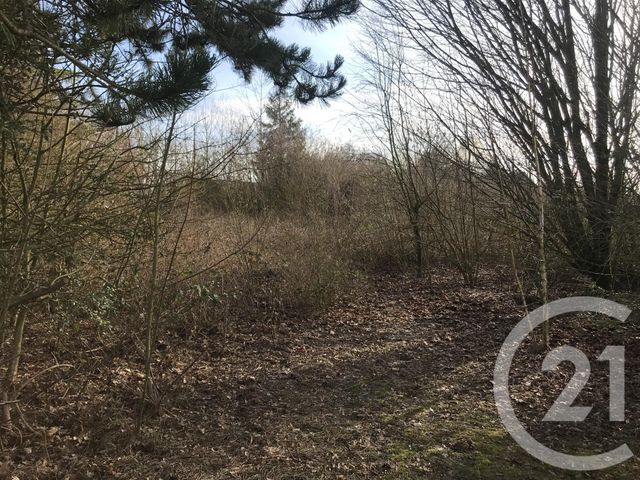 Afficher la photo en grand terrain à vendre - 1000.0 m2 - ALBERT - 80 - PICARDIE - Century 21 Agence Albert