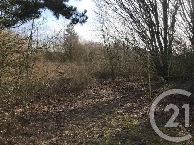 Afficher la photo en grand terrain à vendre - 1000.0 m2 - ALBERT - 80 - PICARDIE - Century 21 Agence Albert