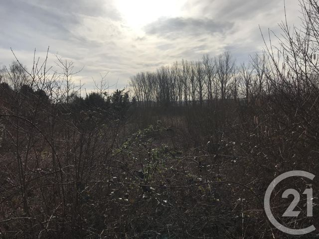 Afficher la photo en grand terrain à vendre - 1000.0 m2 - ALBERT - 80 - PICARDIE - Century 21 Agence Albert
