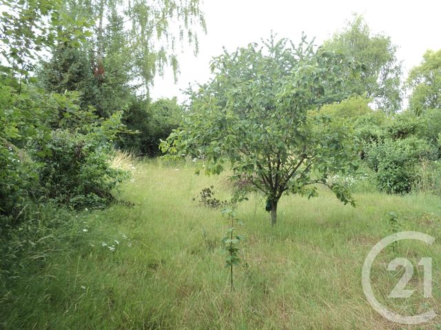 terrain à vendre - 801.0 m2 - BRAY SUR SOMME - 80 - PICARDIE - Century 21 Agence Albert